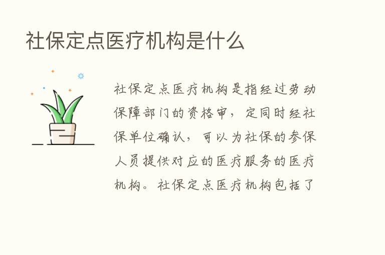 社保定点医疗机构是什么