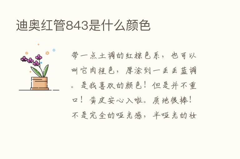 迪奥红管843是什么颜色