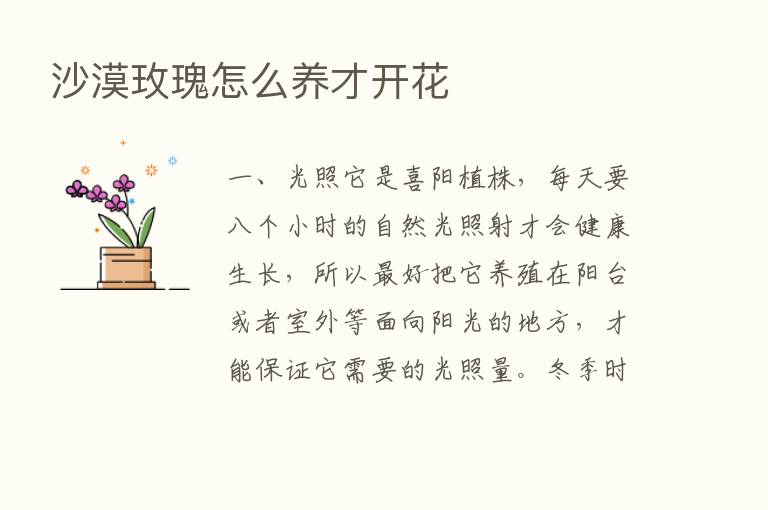 沙漠玫瑰怎么养才开花