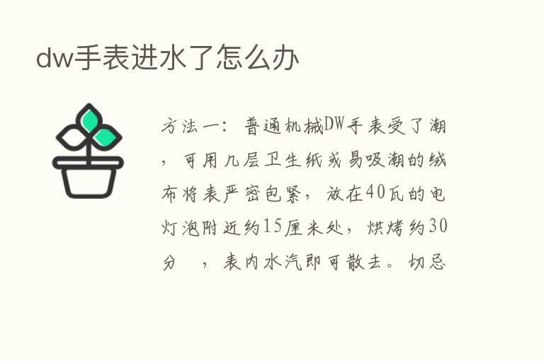 dw手表进水了怎么办