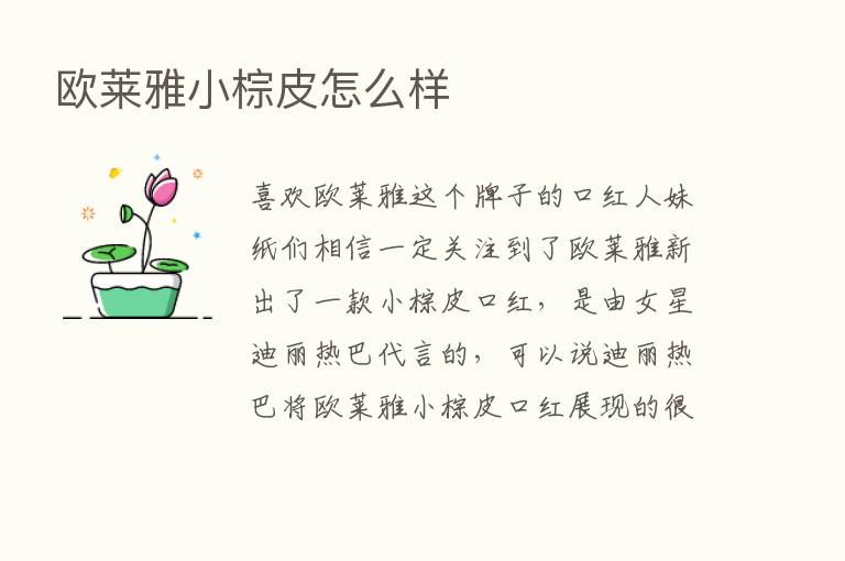 欧莱雅小棕皮怎么样