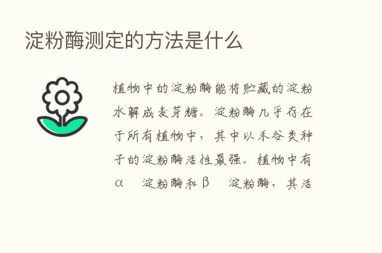 淀粉酶测定的方法是什么