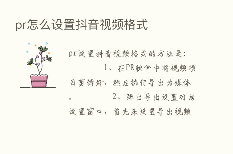 pr怎么设置抖音视频格式