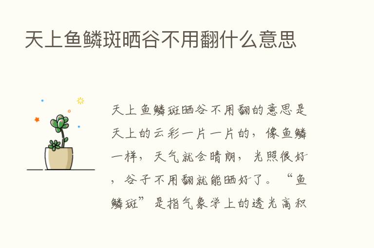 天上鱼鳞斑晒谷不用翻什么意思