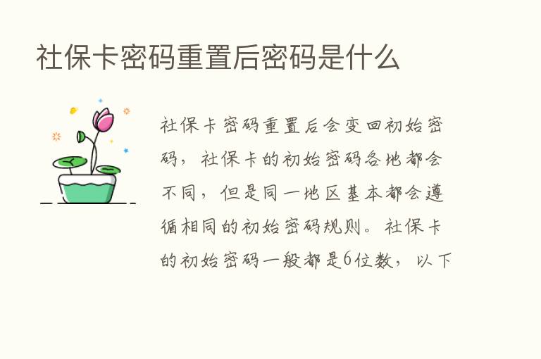 社保卡密码重置后密码是什么