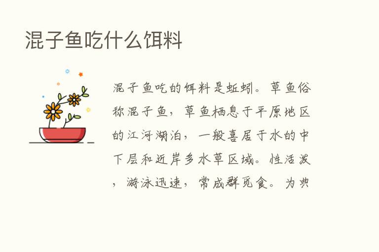 混子鱼吃什么饵料