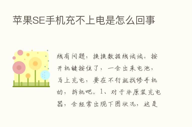 苹果SE手机充不上电是怎么回事