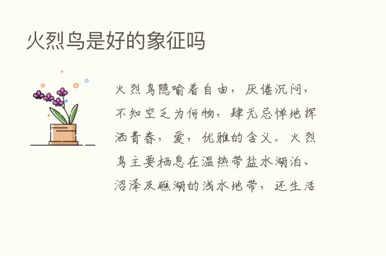 火烈鸟是好的象征吗