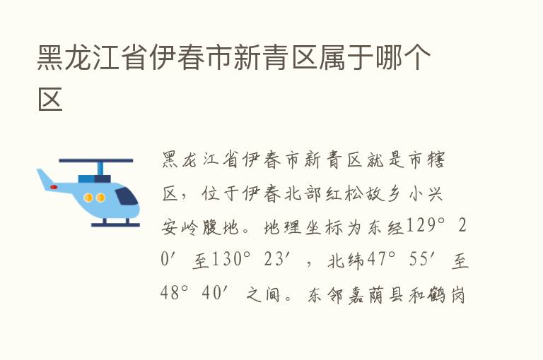 黑龙江省伊春市新青区属于哪个区