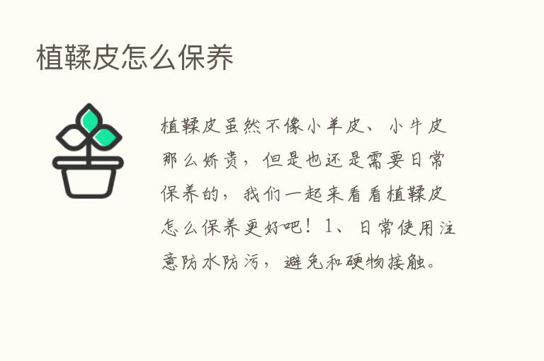 植鞣皮怎么保养