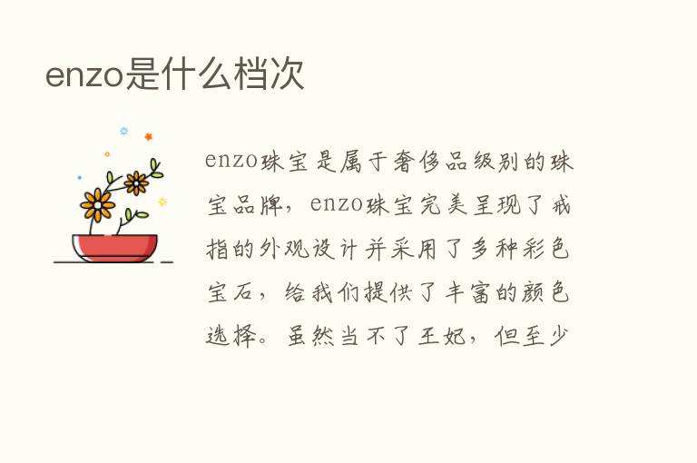 enzo是什么档次