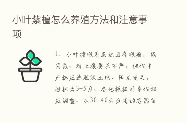 小叶紫檀怎么养殖方法和注意事项