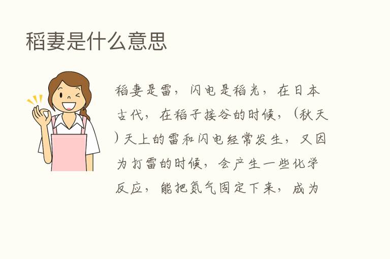 稻妻是什么意思