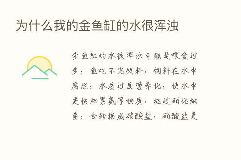 为什么我的金鱼缸的水很浑浊