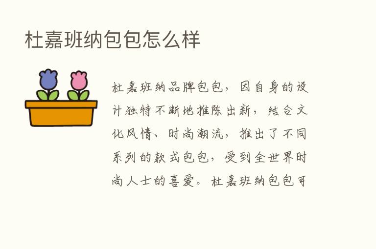 杜嘉班纳包包怎么样