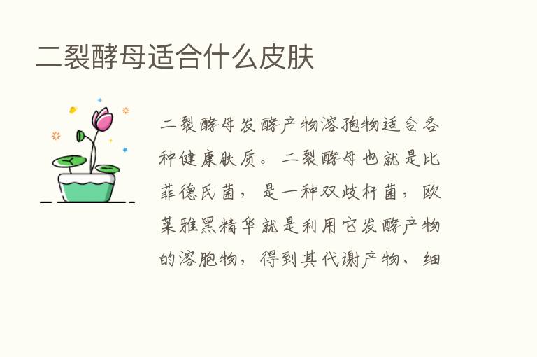 二裂酵母适合什么皮肤