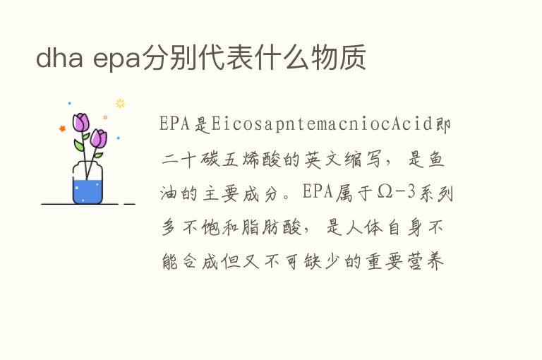 dha epa分别代表什么物质