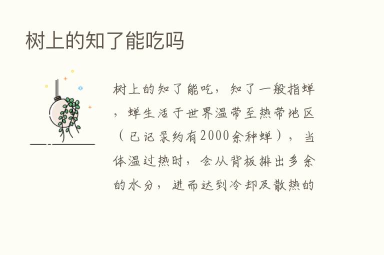 树上的知了能吃吗