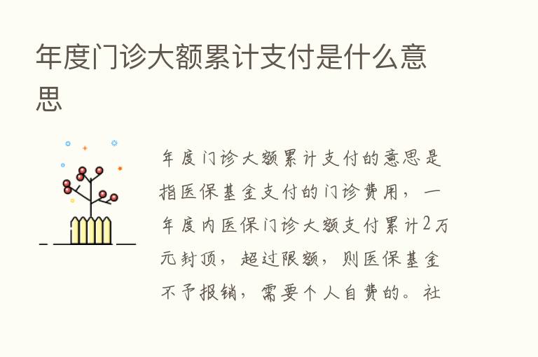 年度门诊大额累计支付是什么意思