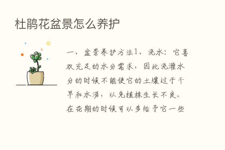 杜鹃花盆景怎么养护