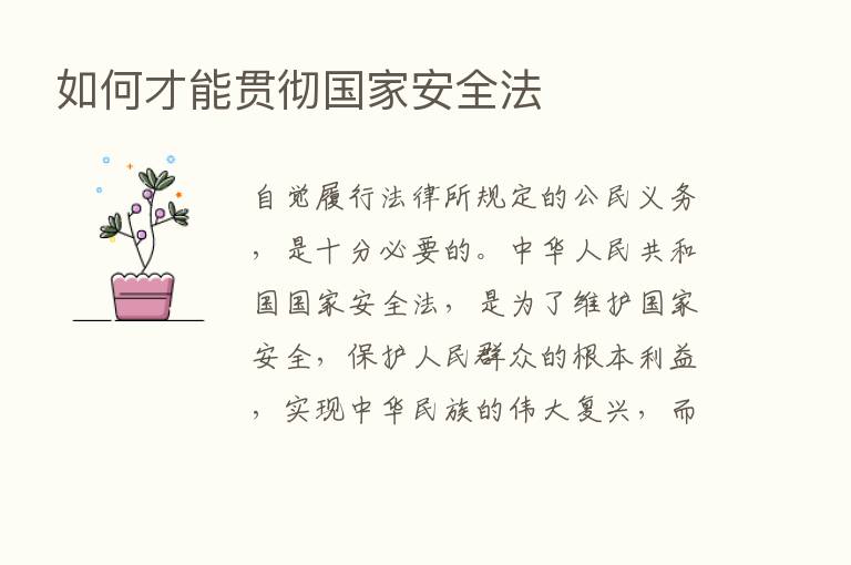 如何才能贯彻国家安全法