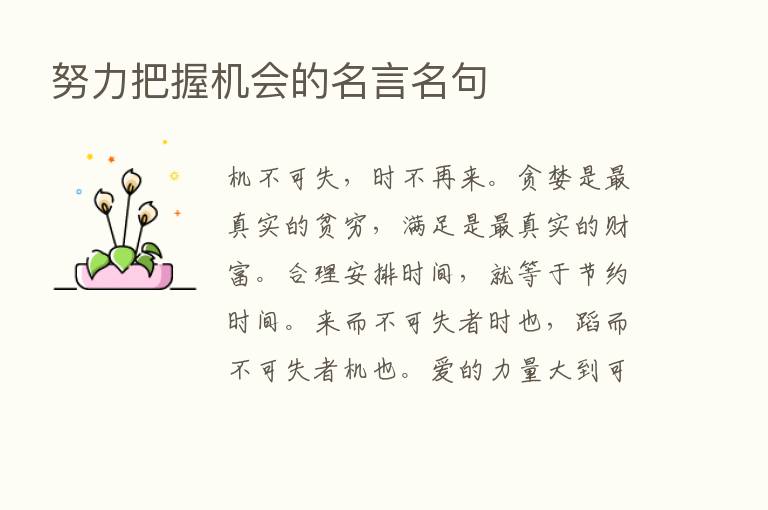 努力把握机会的名言名句