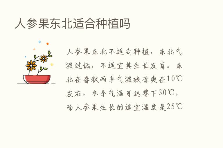 人参果东北适合种植吗