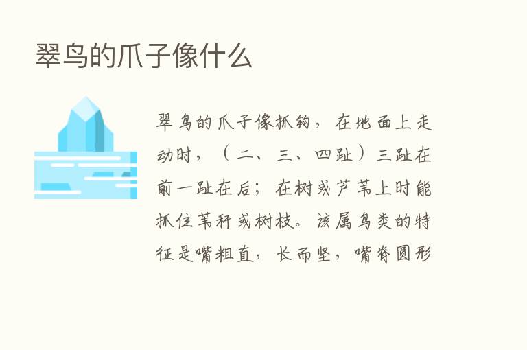 翠鸟的爪子像什么