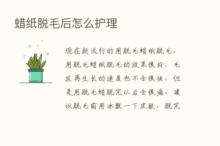 蜡纸脱毛后怎么护理