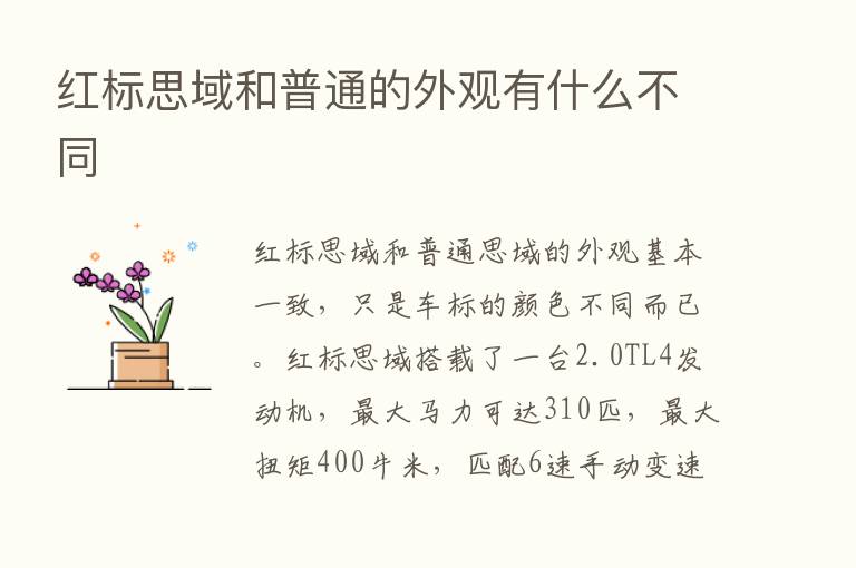 红标思域和普通的外观有什么不同