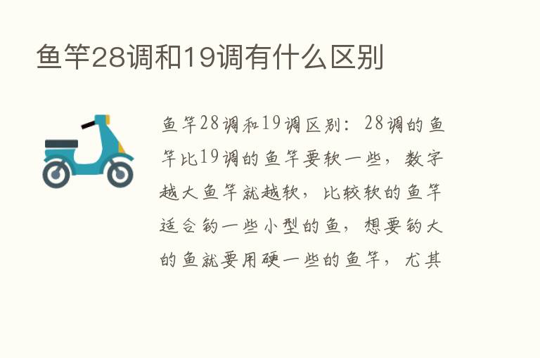 鱼竿28调和19调有什么区别