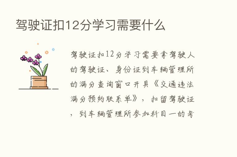 驾驶证扣12分学习需要什么