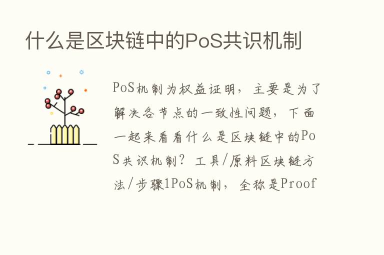 什么是区块链中的PoS共识机制