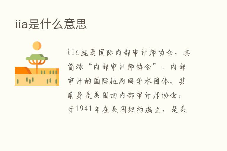 iia是什么意思