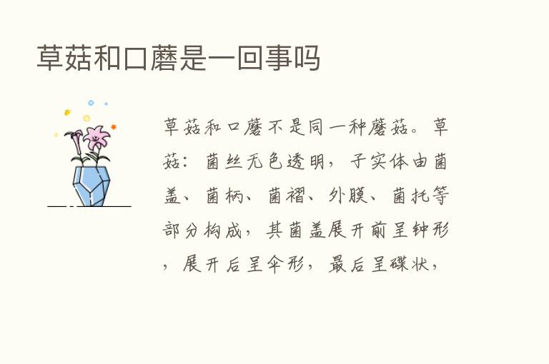 草菇和口蘑是一回事吗