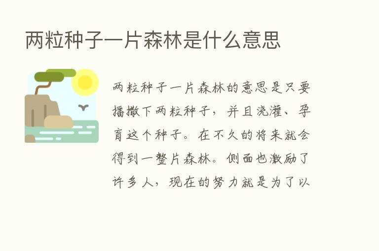 两粒种子一片森林是什么意思