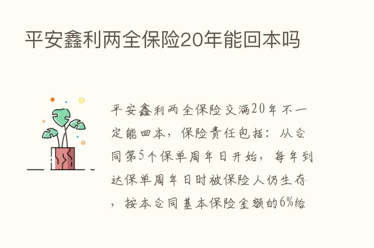 平安鑫利两全      20年能回本吗