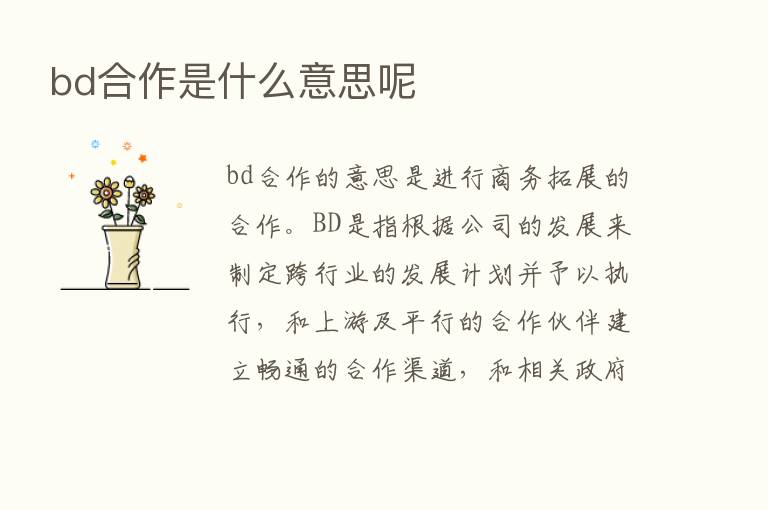 bd合作是什么意思呢