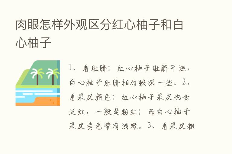 肉眼怎样外观区分红心柚子和白心柚子