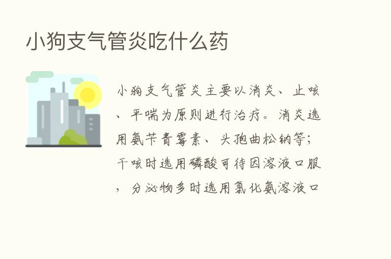 小狗支气管炎吃什么药