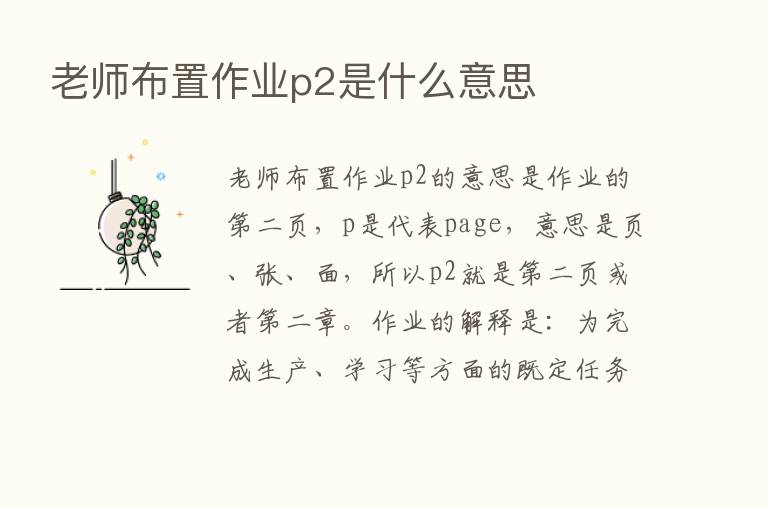 老师布置作业p2是什么意思