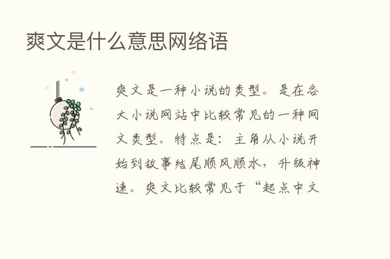 爽文是什么意思网络语