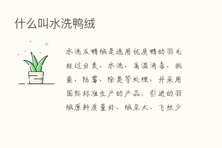 什么叫水洗鸭绒