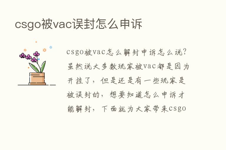 csgo被vac误封怎么申诉