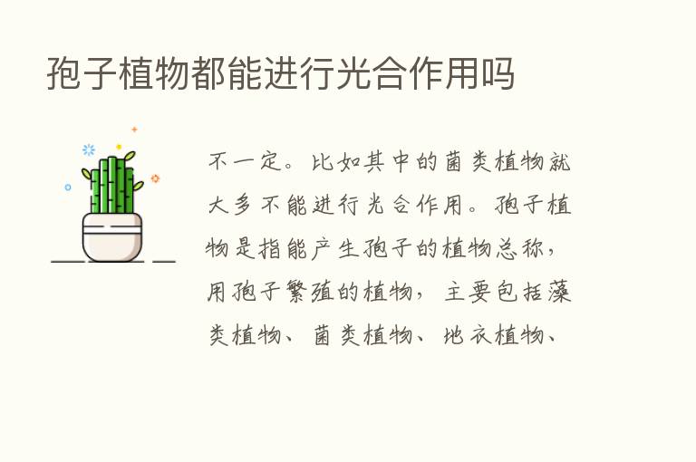 孢子植物都能进行光合作用吗