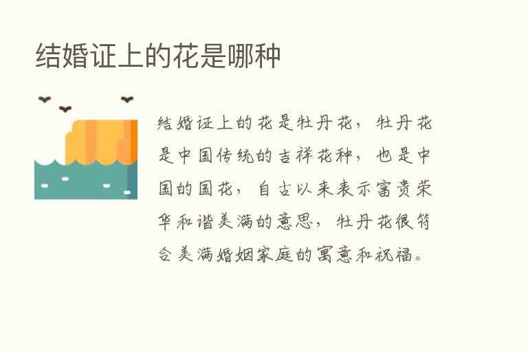 结婚证上的花是哪种