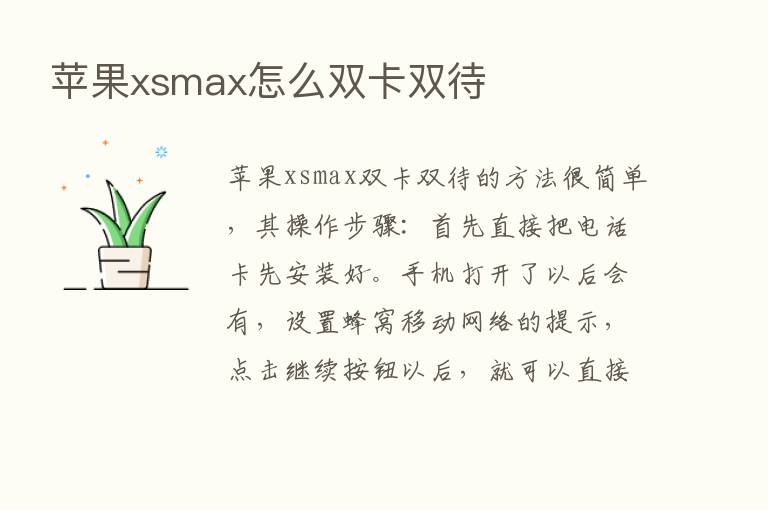 苹果xsmax怎么双卡双待