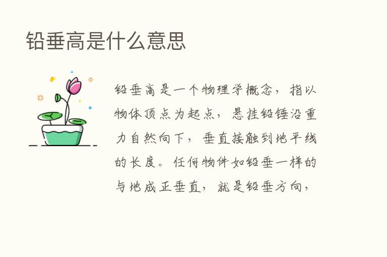 铅垂高是什么意思