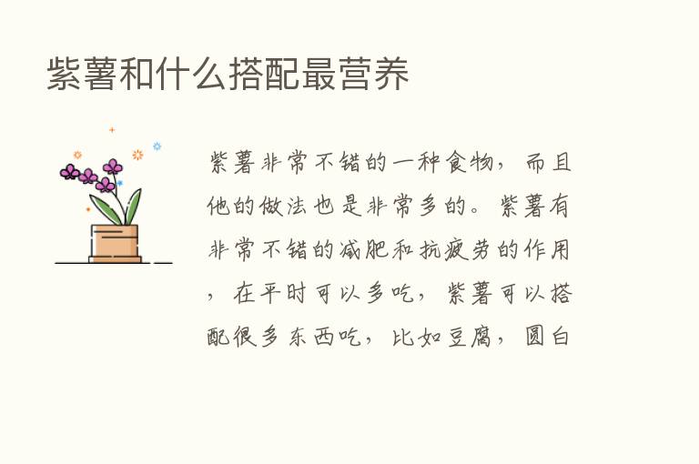 紫薯和什么搭配   营养