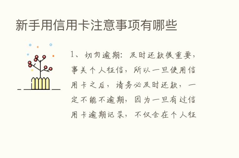 新手用信用卡注意事项有哪些